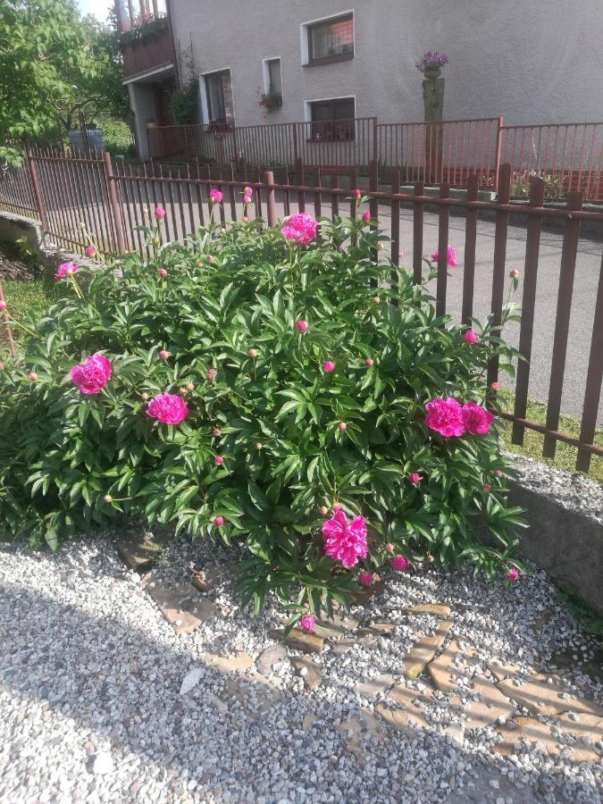 Drevenica Zapadne Tatry S Kupacou Kadou A Krbom Apartment Ziar Ngoại thất bức ảnh